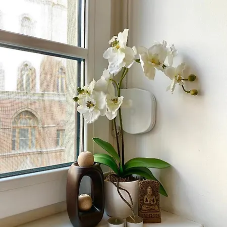 Lejlighed Vivi Budapest