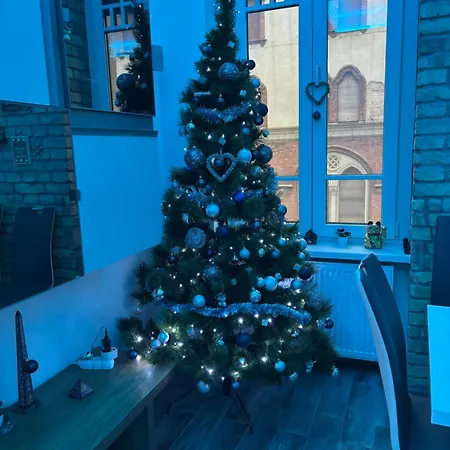 Vivi Apartmán